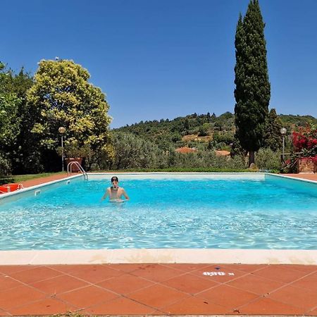 La Romita Ospitalita Rurale Familiare Villa Montisi Eksteriør bilde
