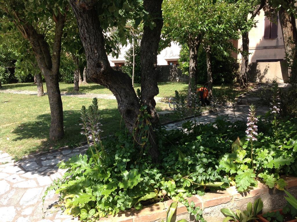 La Romita Ospitalita Rurale Familiare Villa Montisi Eksteriør bilde